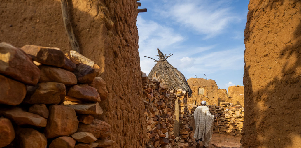 Деревня догонов Мали
