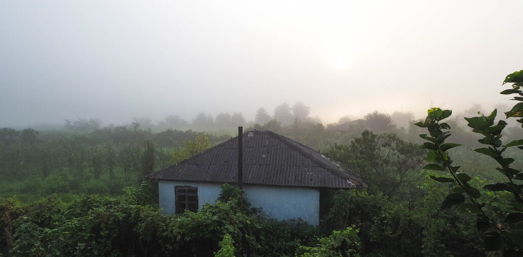 Утро в тумане