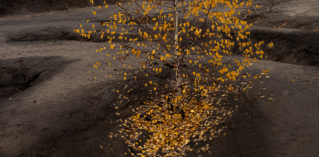 Осеннии ручьи.