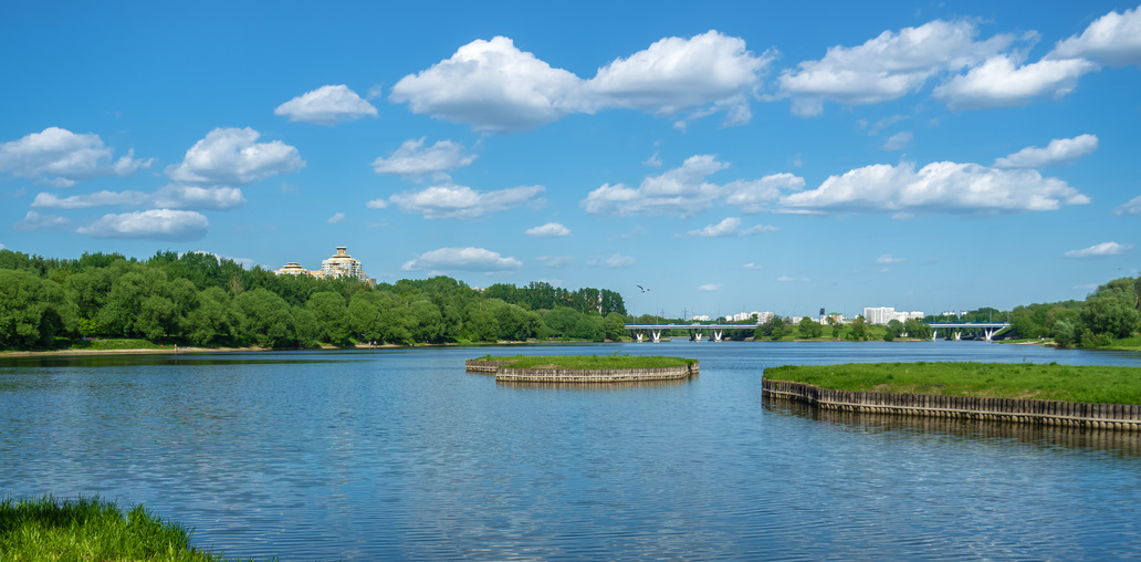 Борисовский пруд (Москва)