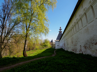 У стен Саввино-Сторожевского монастыря