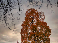 Осень в Приоратском парке.