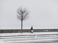 Один снежный день января в Санкт-Петербурге