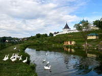 Подворье Высоцкого монастыря
