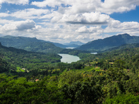 Шри-Ланкийский пейзаж