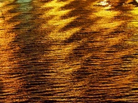Золотая вода