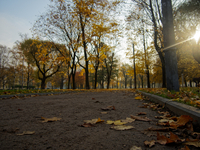 Парк в Санкт-Петербурге