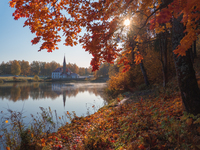 Осень в Гатчинском парке. Ленинградская область.