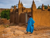 Страна догонов, Мали