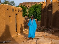 Страна Догонов Мали