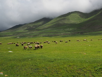 В горах Киргизии