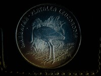 казахстанская монета