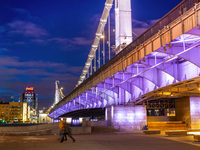 Крымский мост (Москва)