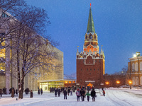 Троицкая башня (Московский Кремль)