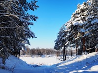 Зима в Любцах