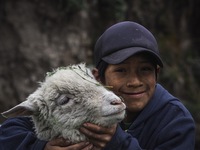 Andean children