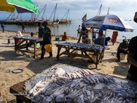 Рыбный Рынок в Багамойо