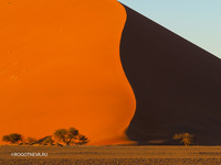 Пустыня Намиб