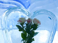 Розы для ледяного сердца