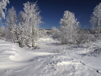 Чистым снегом всё покрыто, просто красота...