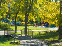 Осень в парке