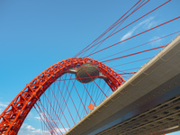 Фрагмент Живописного моста, Москва