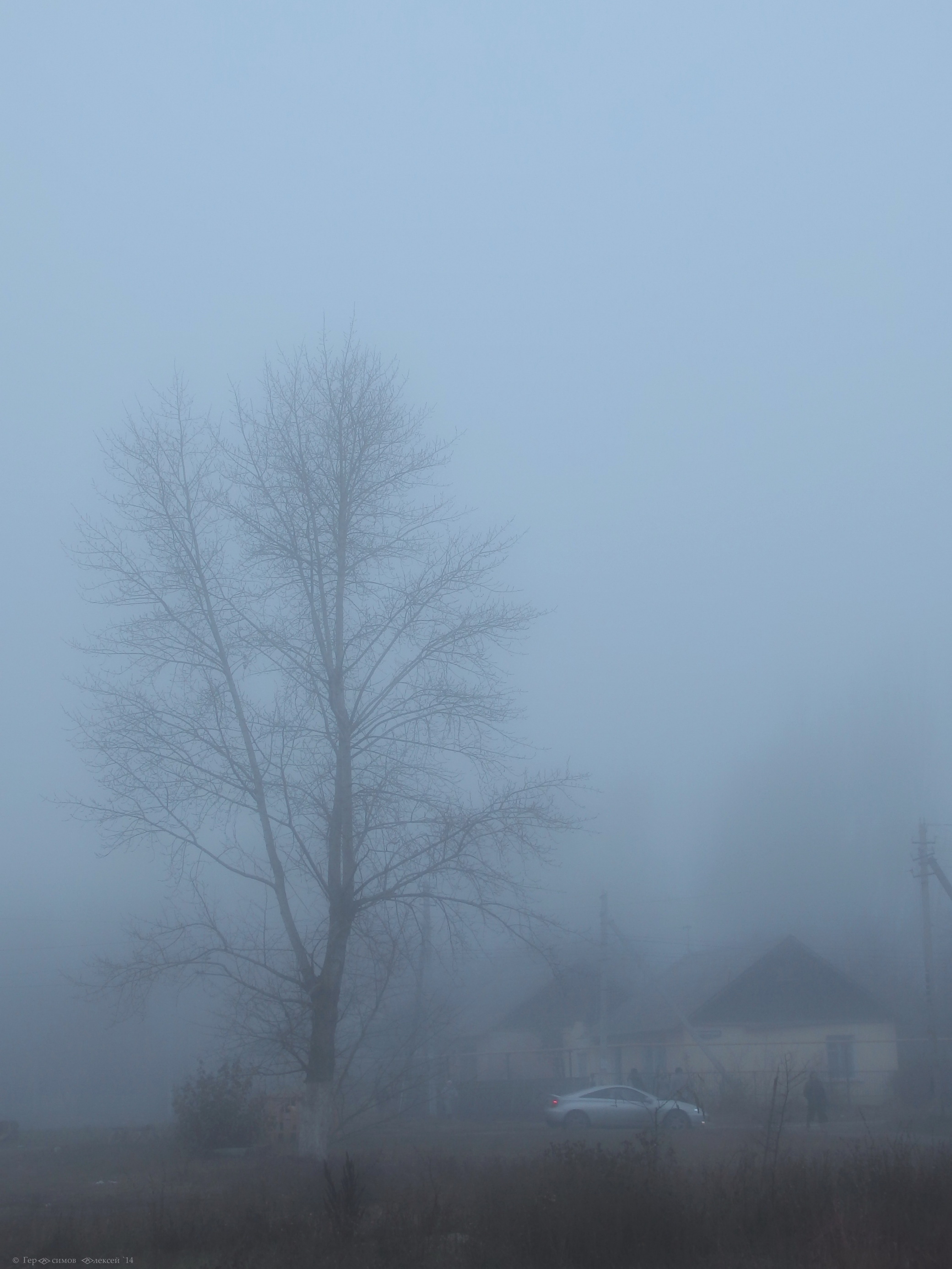 В тумане.
