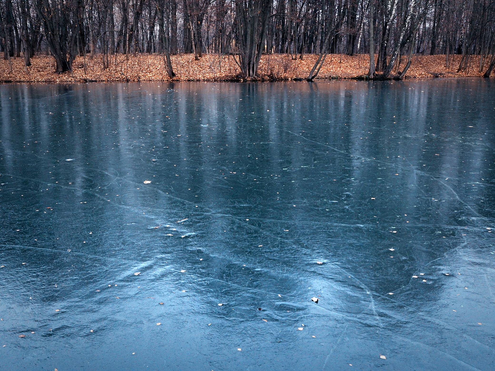 Затянулся пруд. Замерзший водоем. Озеро покрытое льдом. Лед на реке. Речка покрытая льдом.