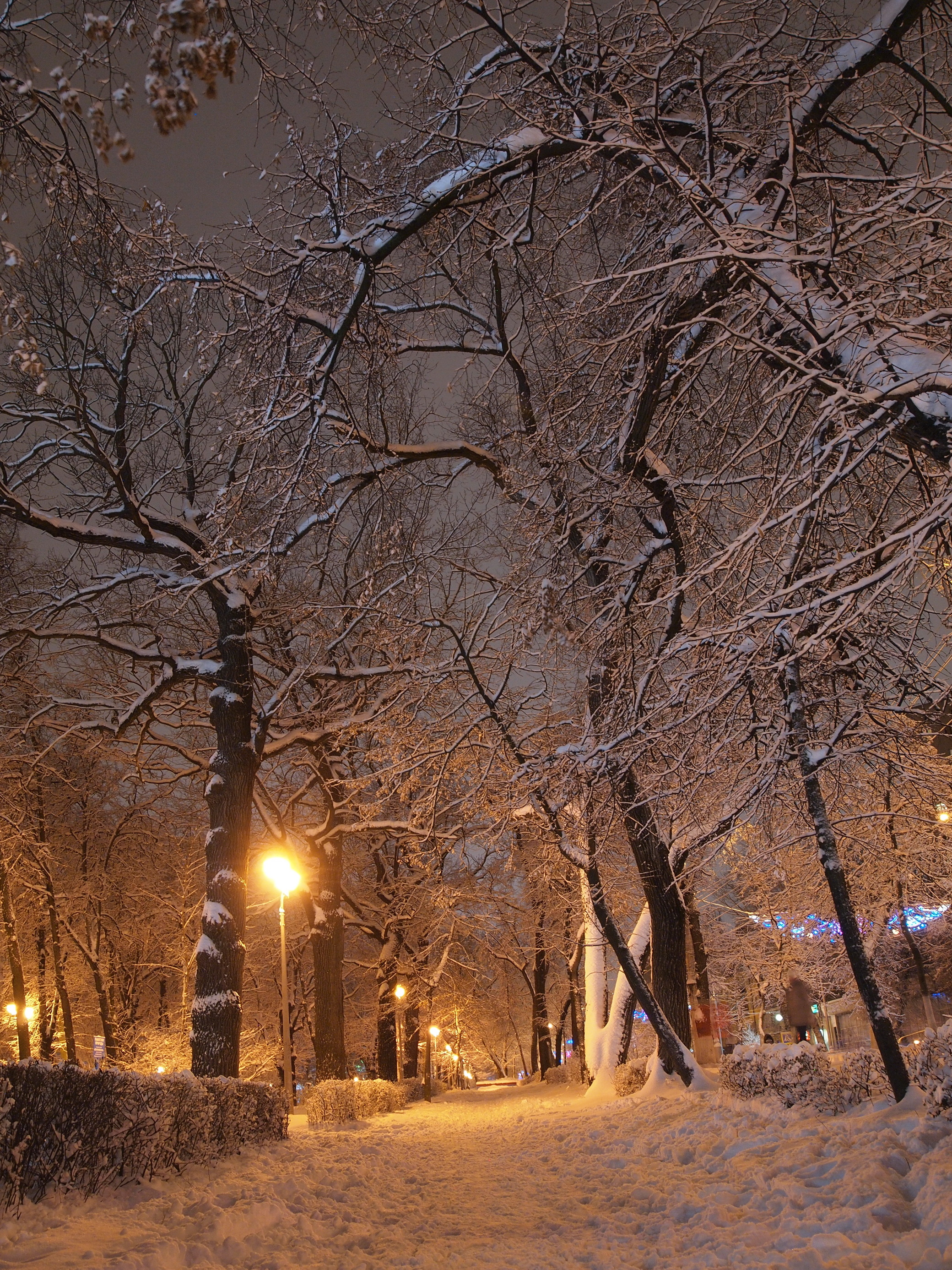 6 вечера зимой. Зимний вечер. Зима. К вечеру. Зимний парк. Вечерняя зима.