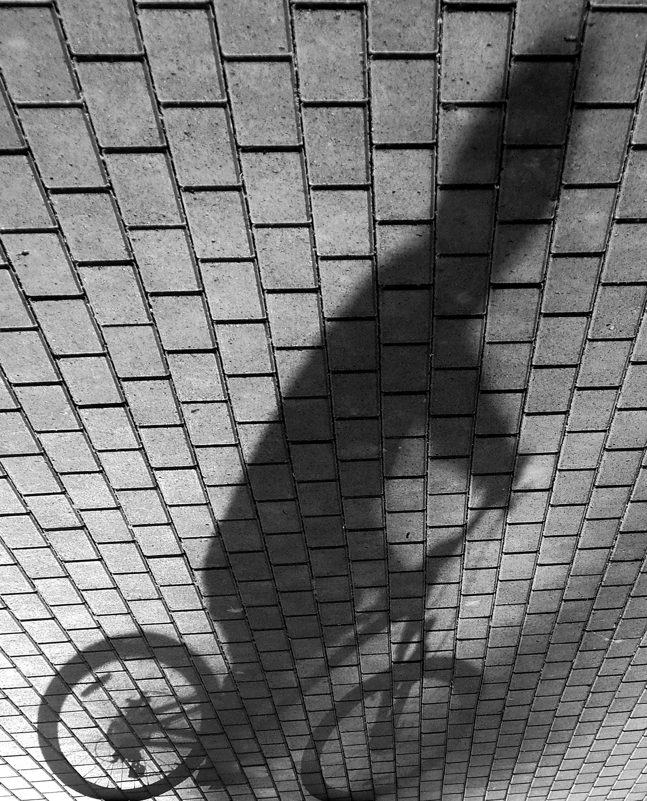 Мальчик на велосипеде тенью мчится мимо нас...