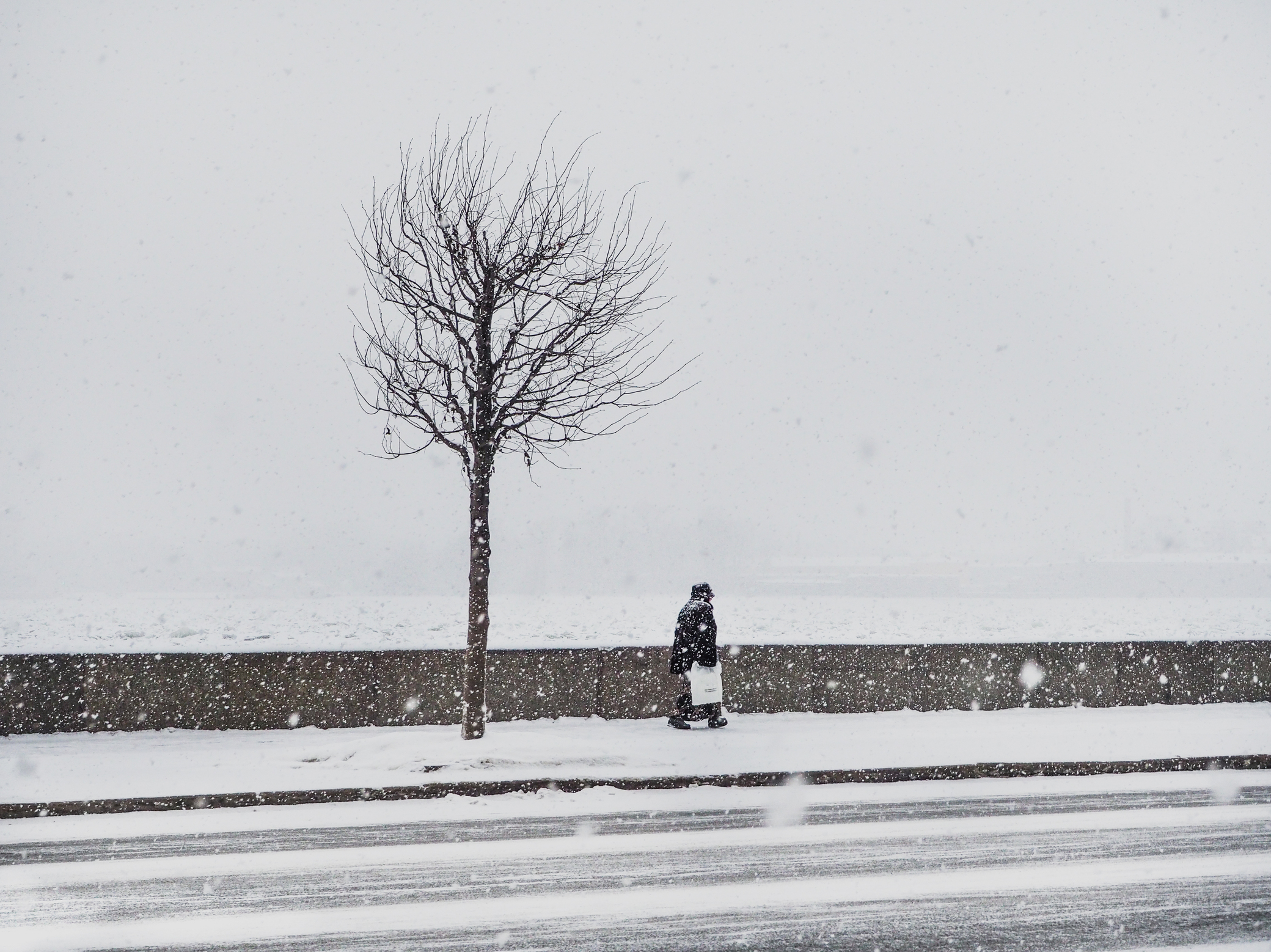 Один снежный день января в Санкт-Петербурге