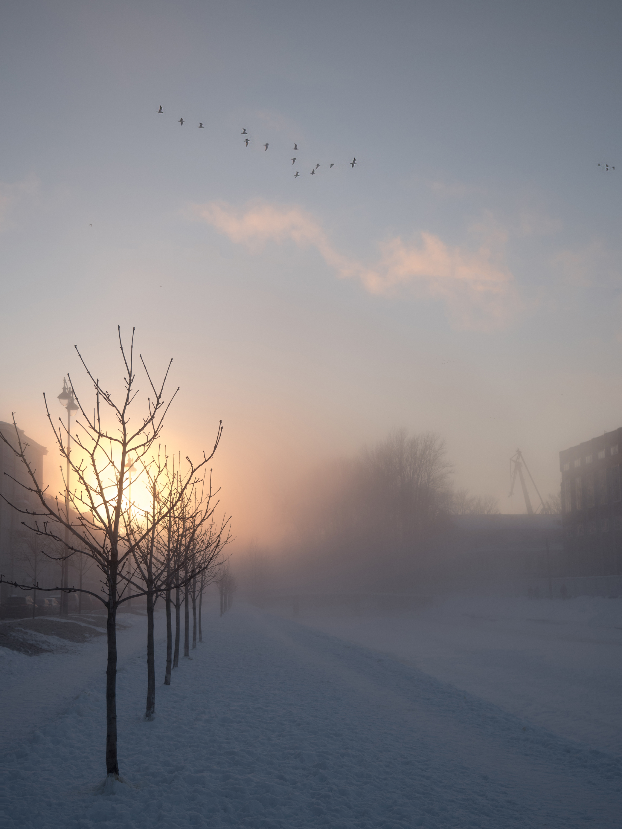 Январский туман на закате