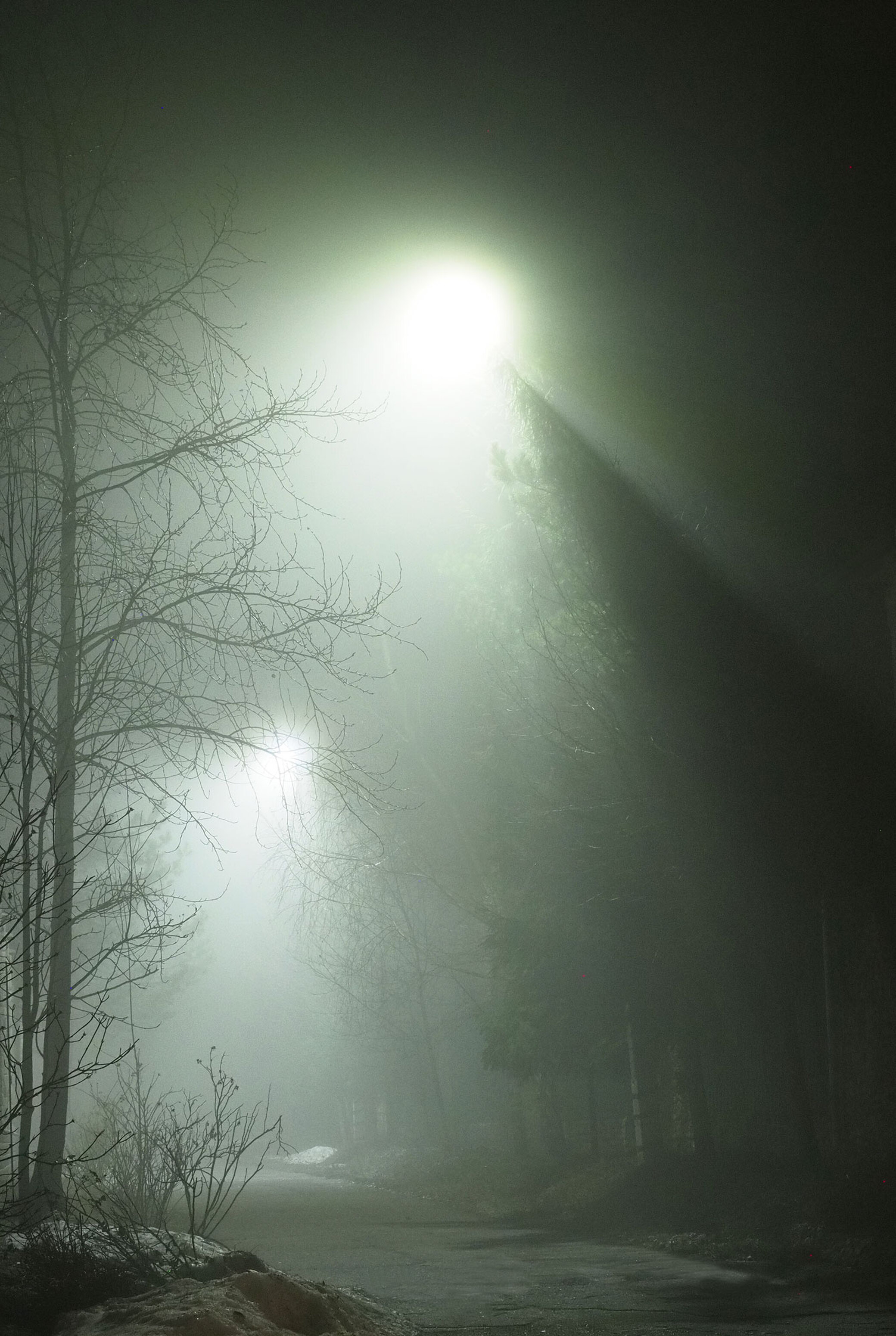 Ночь наполнилась туманом