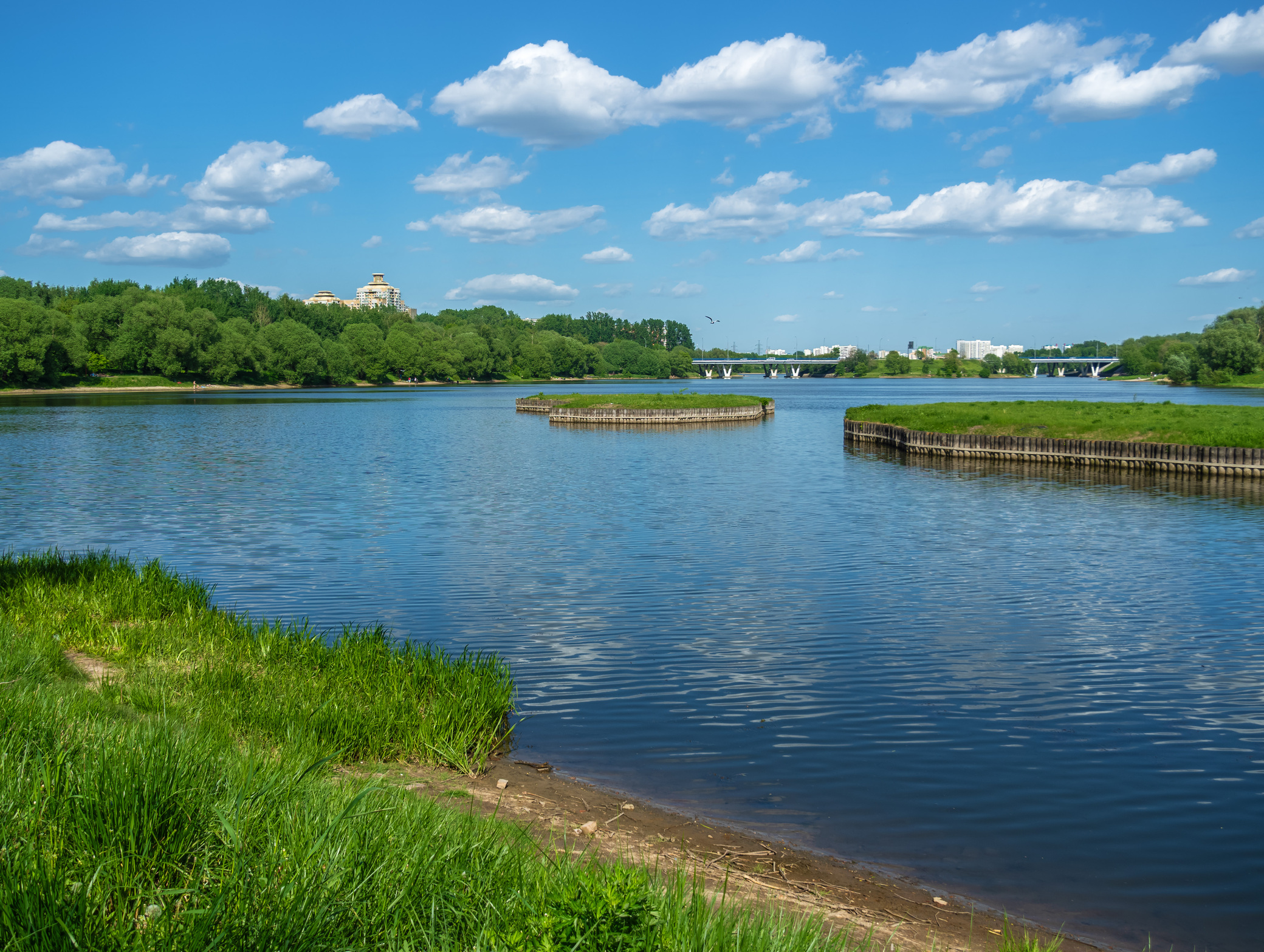 Борисовский пруд (Москва)