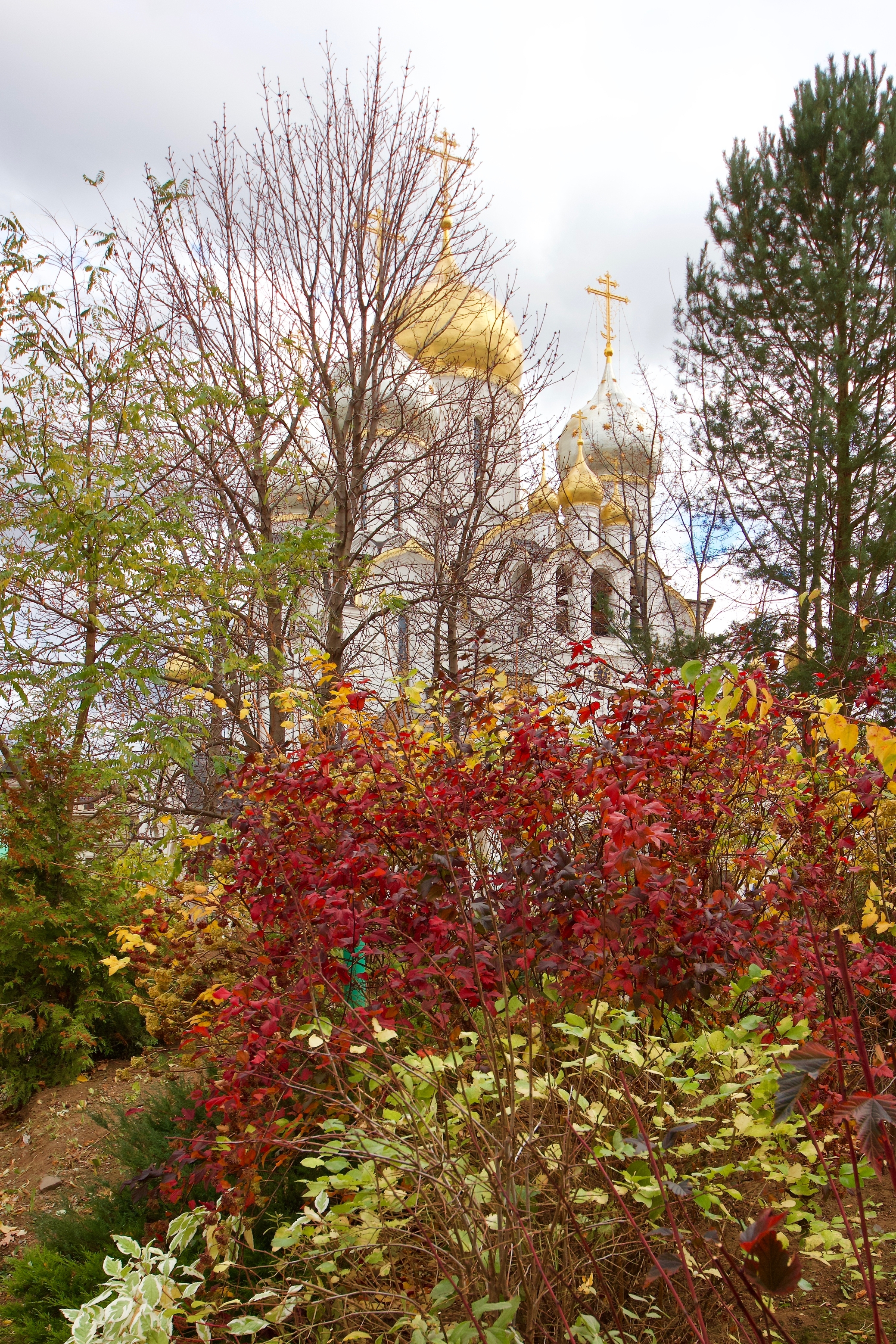 Осень.Зачатьевский (Алексеевский) женский монастырь.