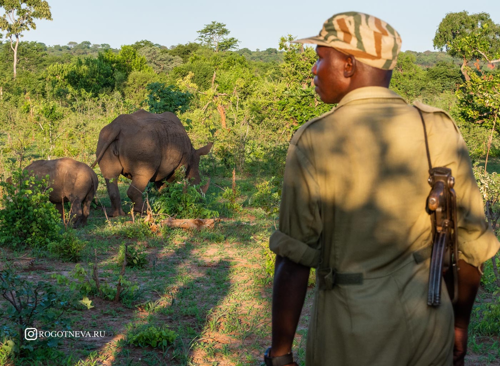 Пешее сафари к носорогам (Замбия)