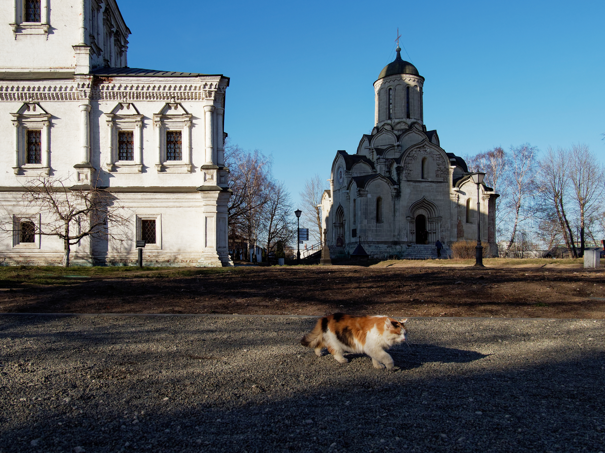 Про кошку и самый старый храм в Москве