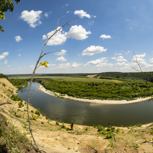 Река Дон, Кривоборье, Воронежская область