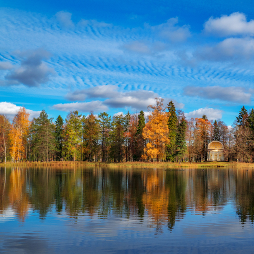 Осень в Гатчинском парке. Ленинградская область.