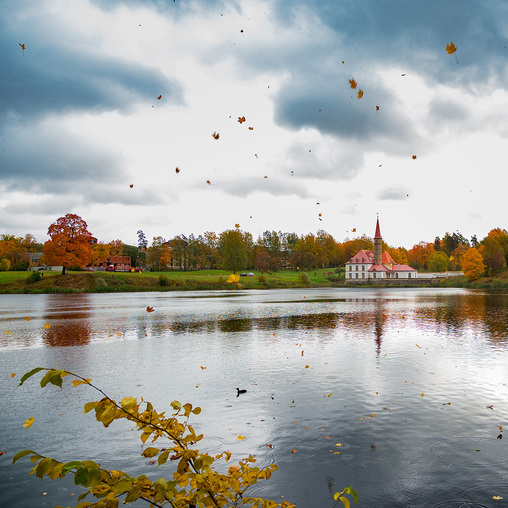 Осенний парк в Гатчине.