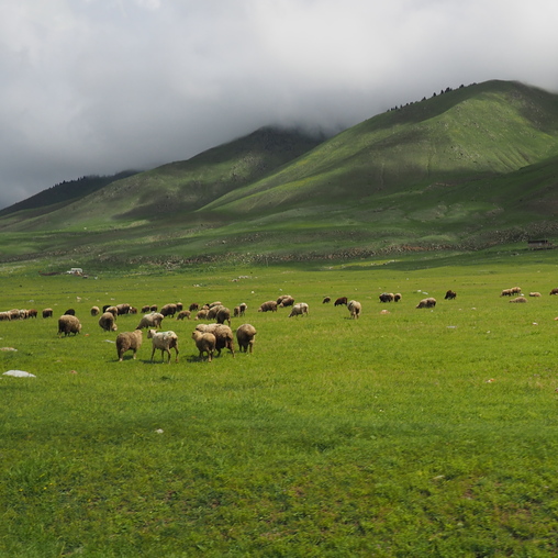 В горах Киргизии