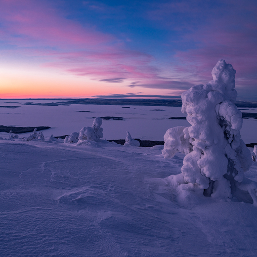 Морозный восход. На горизонте Белое море.