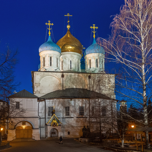 Собор Преображения Господня в Новоспасском монастыре (Москва)