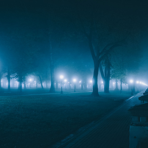 ночь в парке