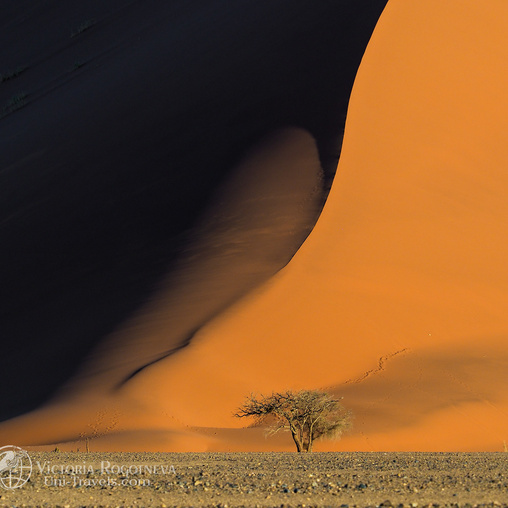 Пустыня Намиб (1)